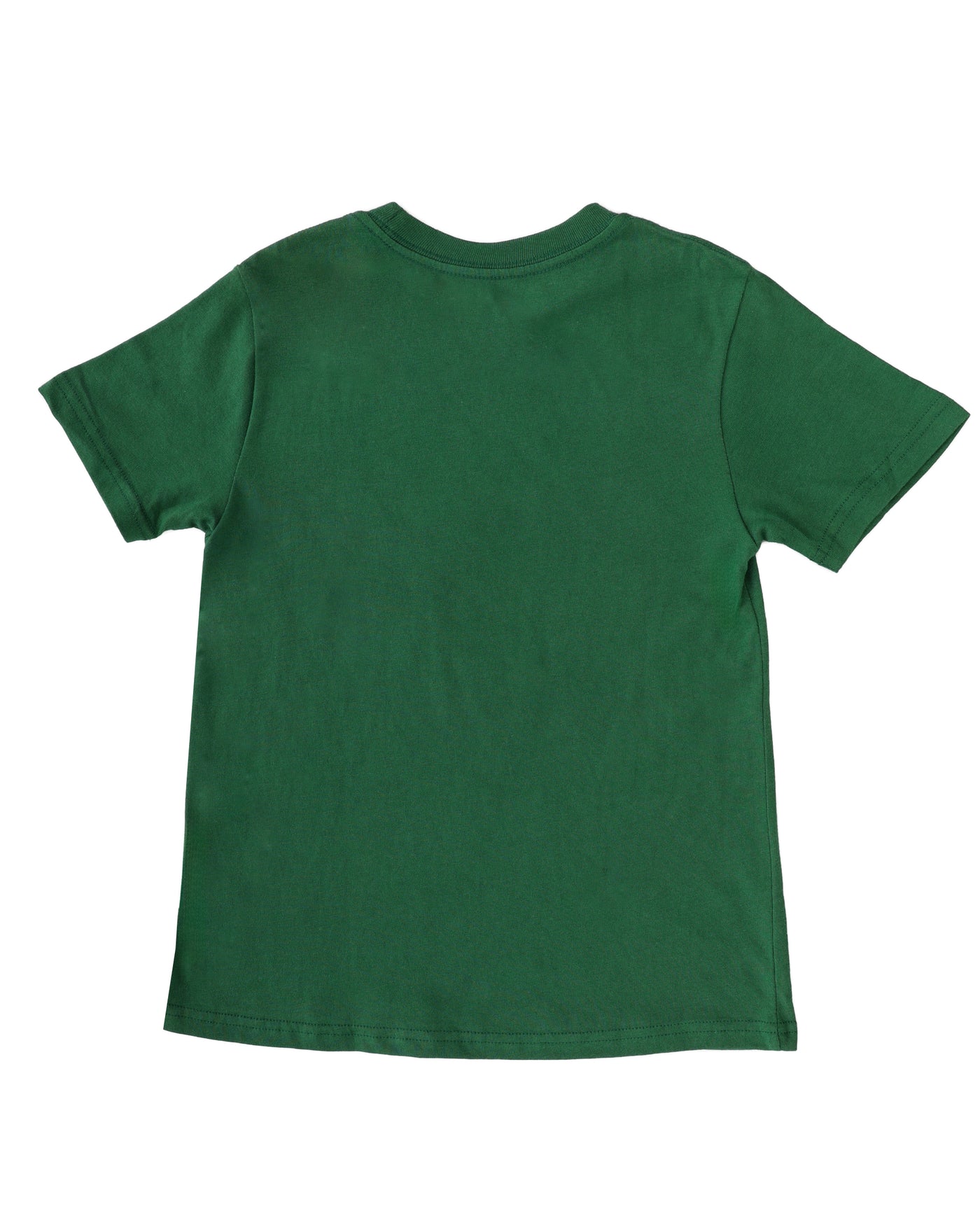 POLO RALPH LAUREN KIDS T-SHIRT